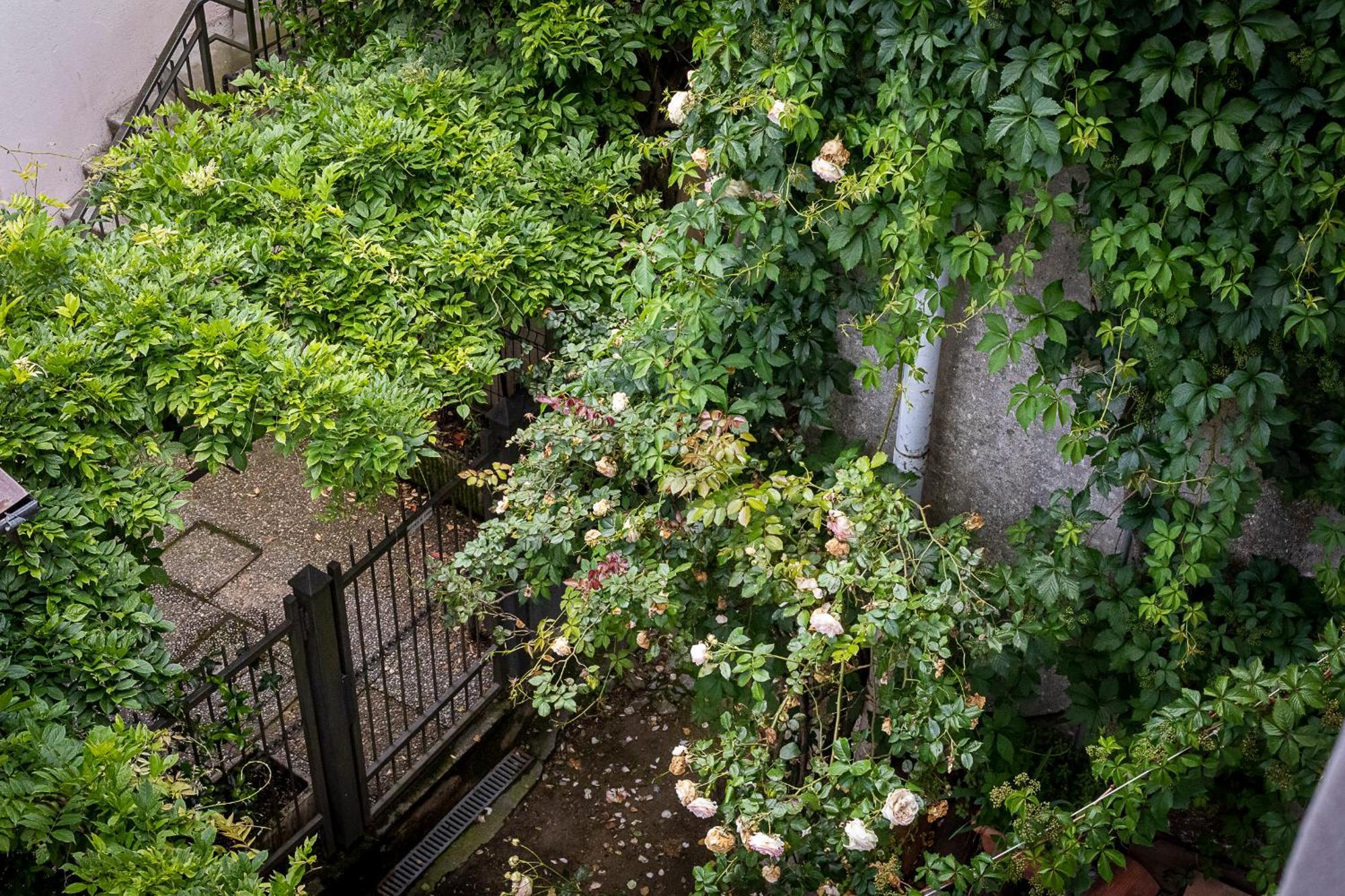 Fiordaliso Apartment Como Kültér fotó